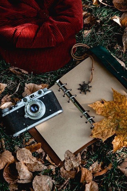 Advantages and disadvantages of using a paper-inspired digital cam