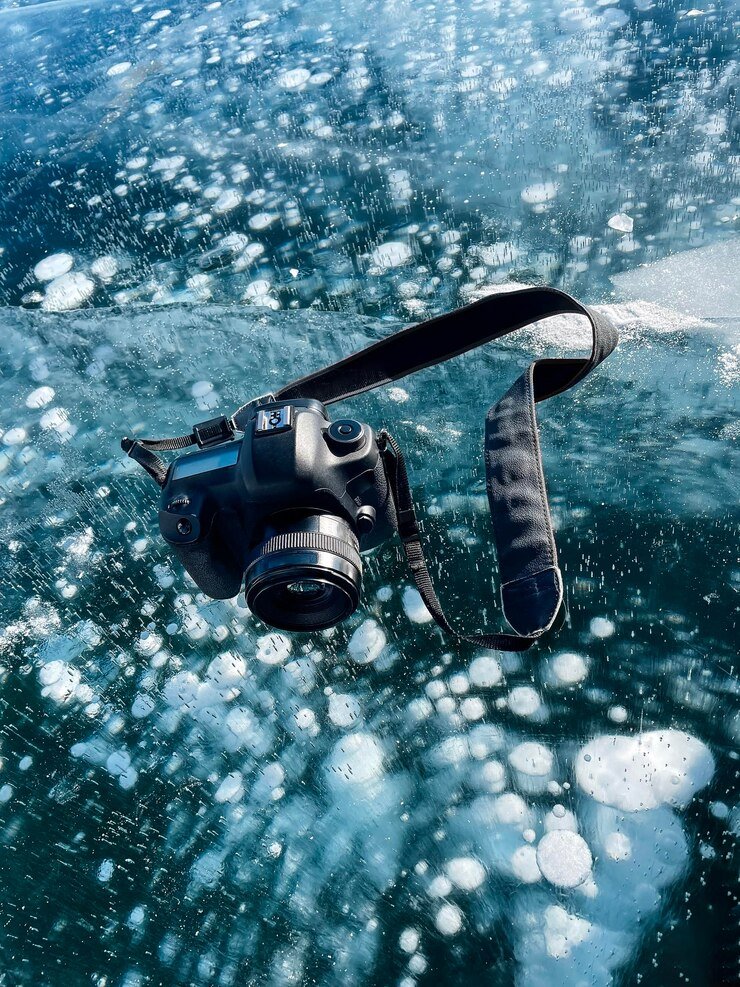Underwater action camera protector capturing sea life