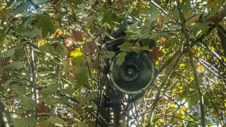 Spy Point Link-Micro-S LTE trail camera with solar panel and phone app view.
